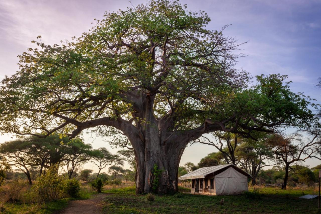 Baobab Tented Camp Kwa Kuchinia Exterior photo